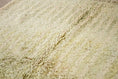 Load image into Gallery viewer, Green 8x5 Boujad Rug – berber area rugs, berber carpet area rugs, Handmade Wool Rug