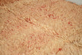 Load image into Gallery viewer, Vintage Moroccan Rug – Handmade Wool Berber rug, 5.5x10 ft – Peach beni mguild rug
