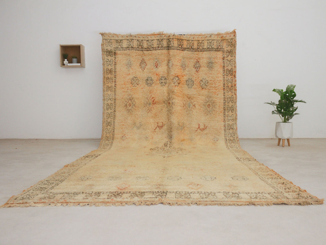 Vintage saffron Moroccan rug No. 63, 5'11" x 12'2", full view
