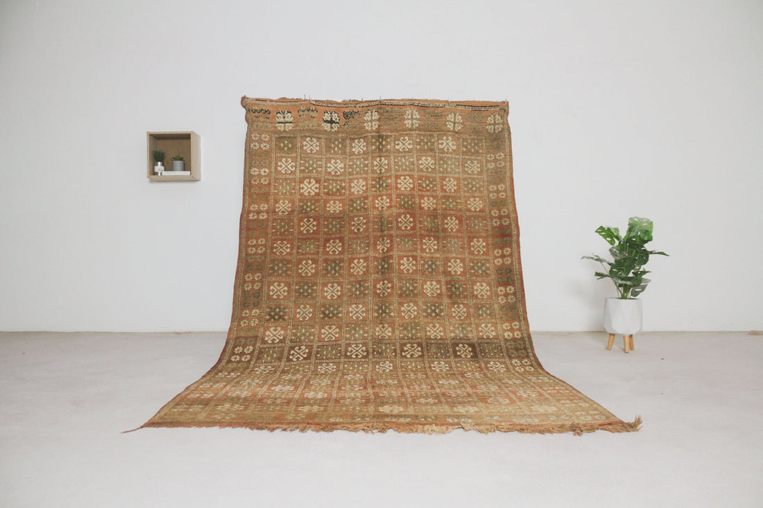 Vintage beige Moroccan rug No. 71, 5'3" x 8'6", full view