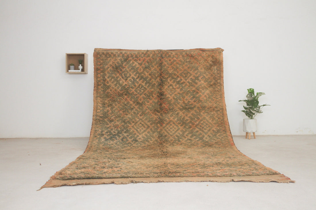 Vintage beige Moroccan rug No. 105, 6'2" x 10'6", full view