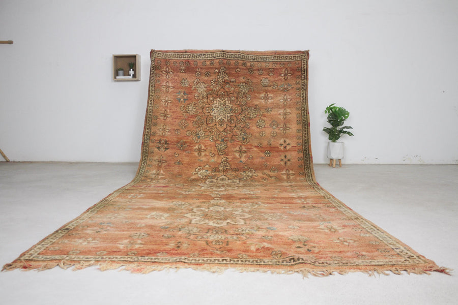 Vintage Terracotta Moroccan Rug, 5'9" x 12'10" – No. 258