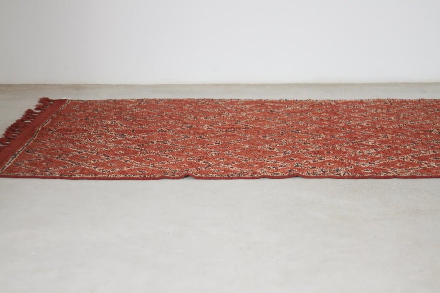 Vintage Red Moroccan Rug, 5'9" x 12' – No. 257