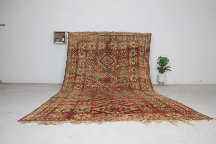 Vintage red Moroccan rug No. 240, border and field, full view