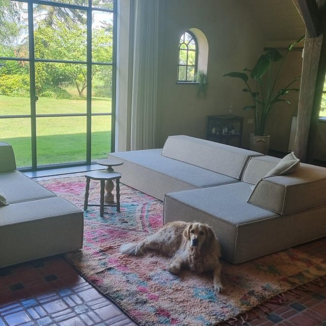 A dog resting on a colourful KeshRug beside a garden-facing sofa
